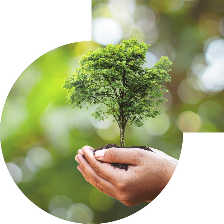 关怀人类、文化、环境与社会